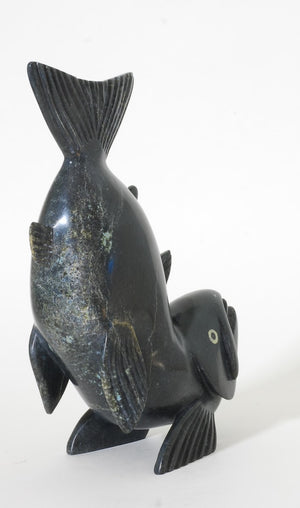 Arctic Char by Toonoo Sharky