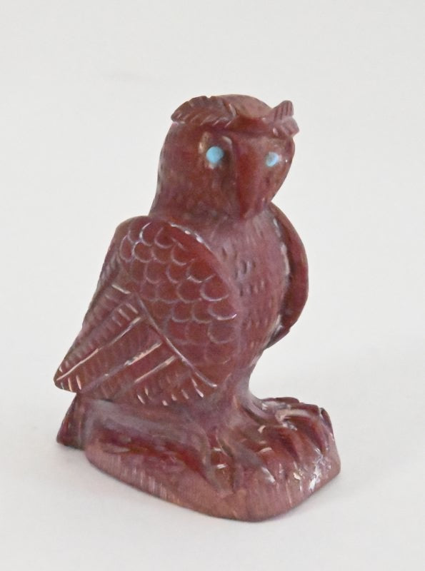 Owl Fetish by Carlton Kaamasee