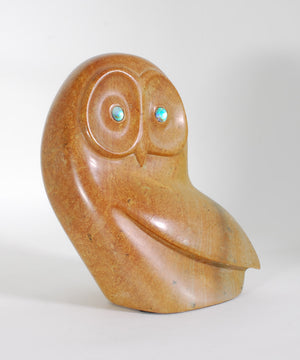 Owl by Asherman (non-native)