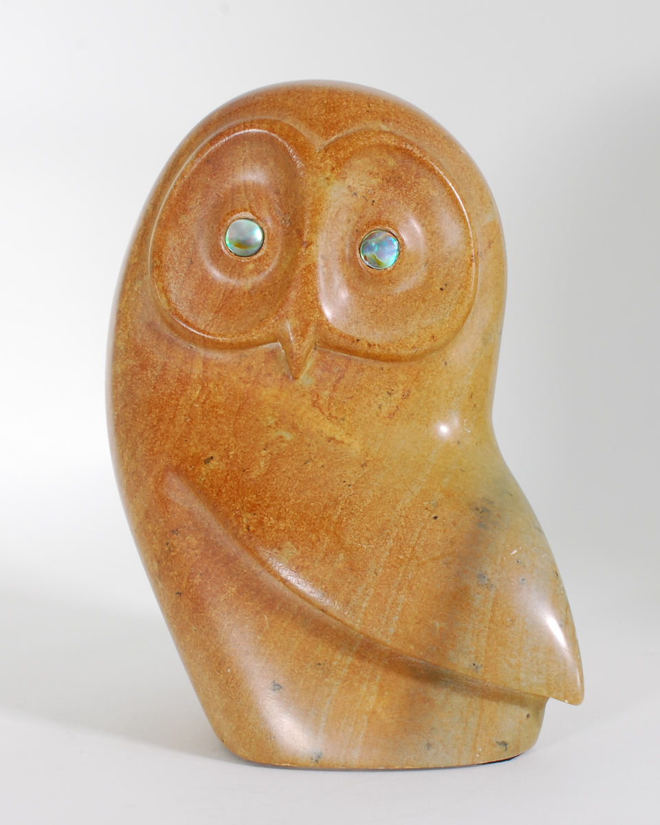 Owl by Asherman (non-native)