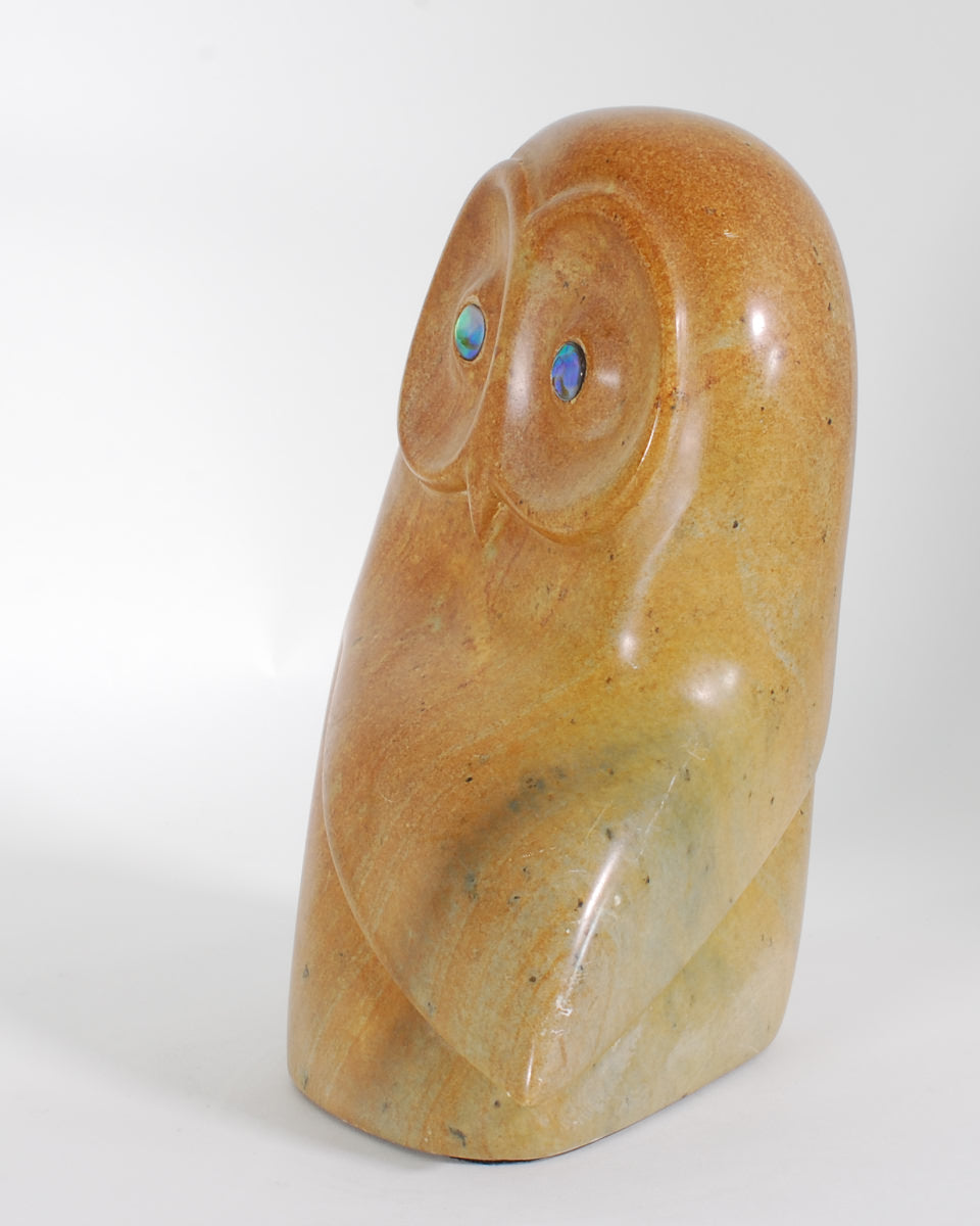 Owl by Asherman (non-native)