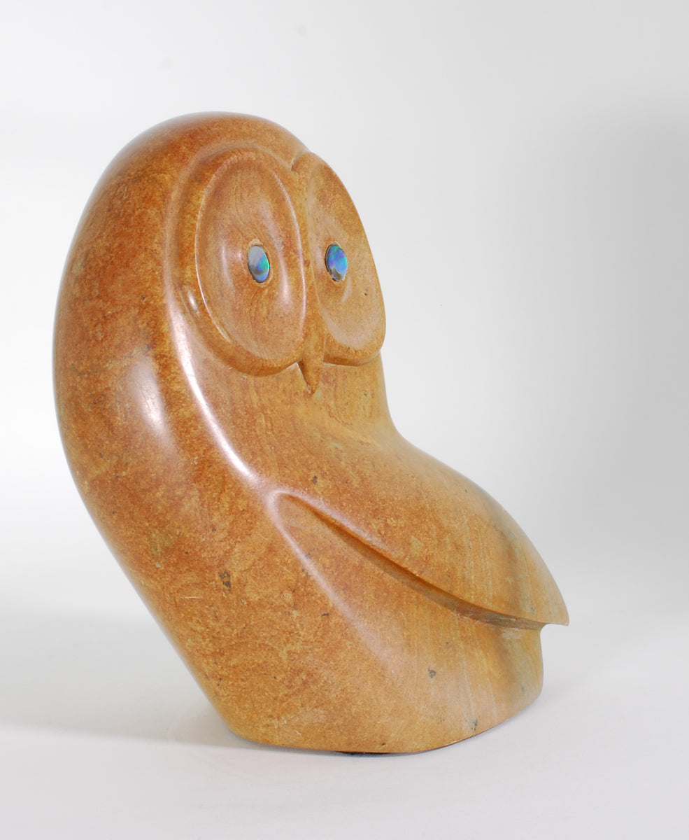 Owl by Asherman (non-native)