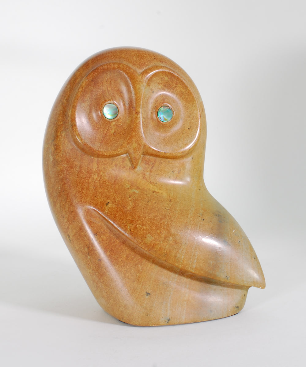 Owl by Asherman (non-native)